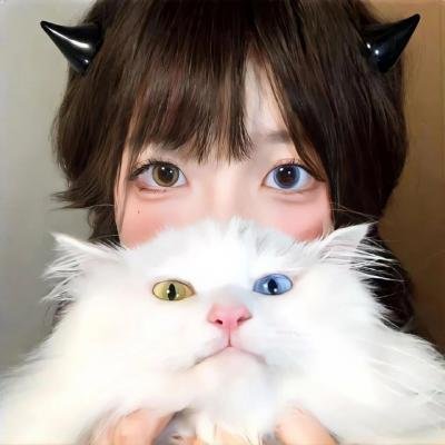 瑞奇和闪电